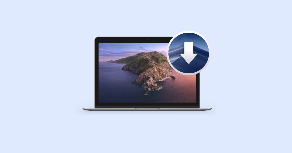word for mac download rollback